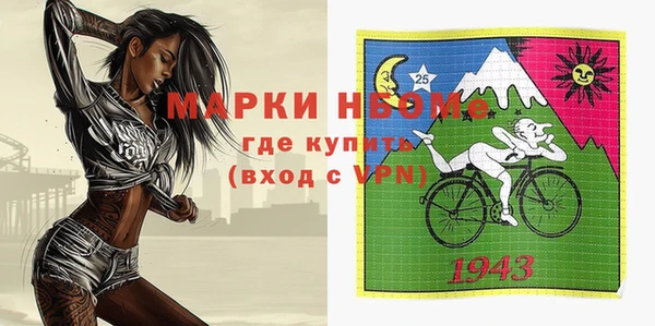 мет Алексин