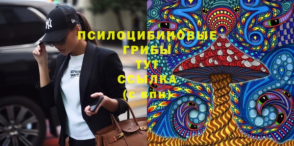 мет Алексин