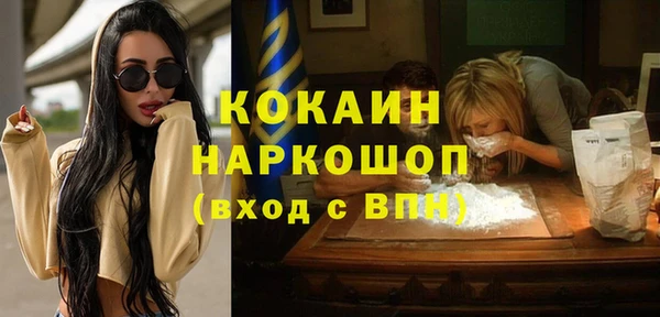 мет Алексин