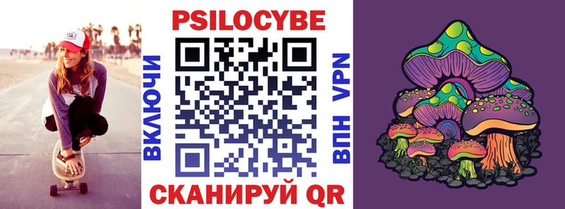 Псилоцибиновые грибы Psilocybine cubensis  Купить закладки  Липецк 